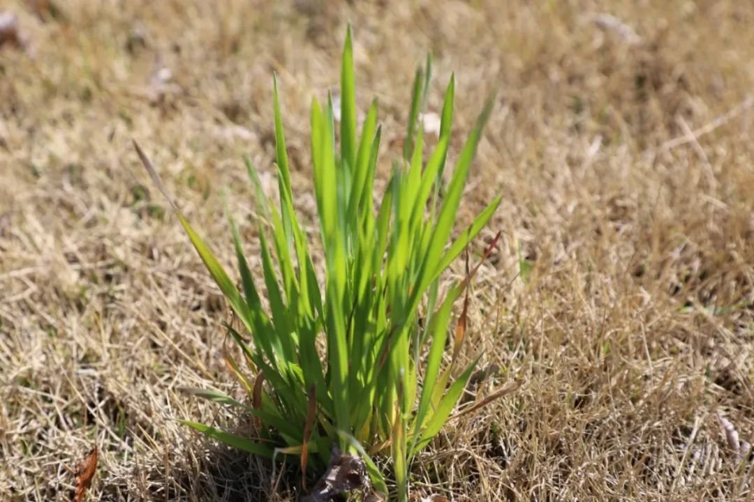 AG真人国际(中国)官方网站
