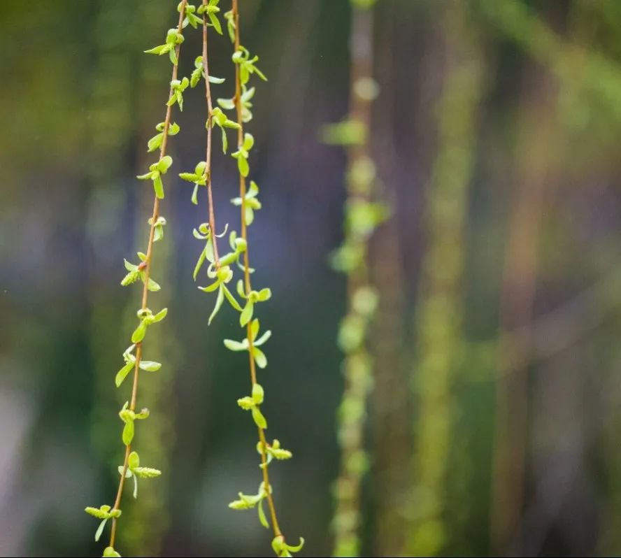 AG真人国际(中国)官方网站
