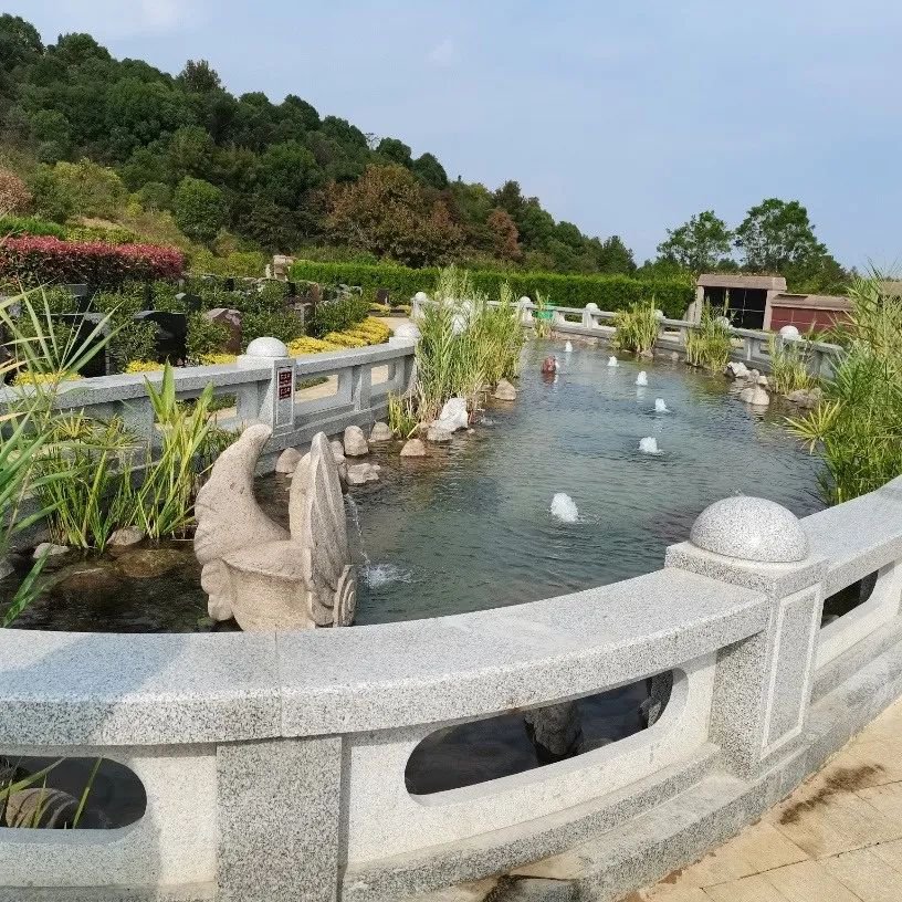 AG真人国际(中国)官方网站