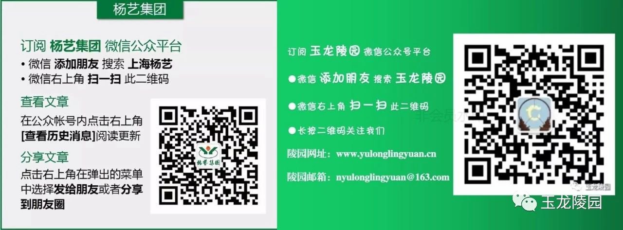 AG真人国际(中国)官方网站