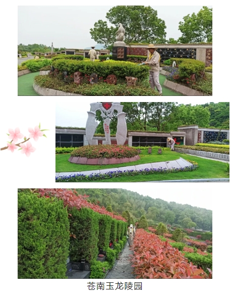 AG真人国际(中国)官方网站