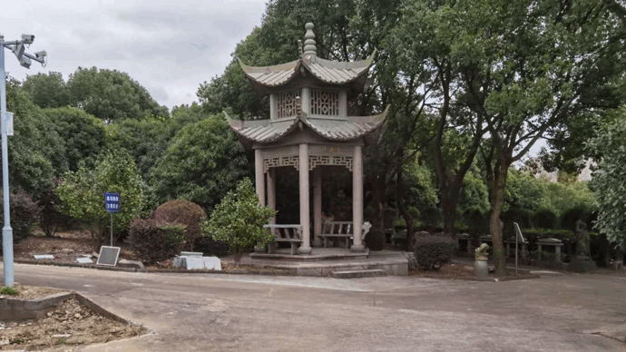 AG真人国际(中国)官方网站