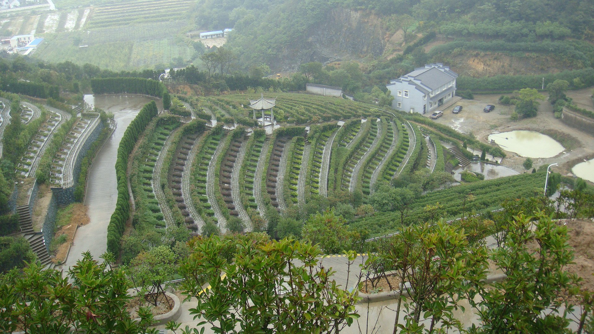 AG真人国际(中国)官方网站