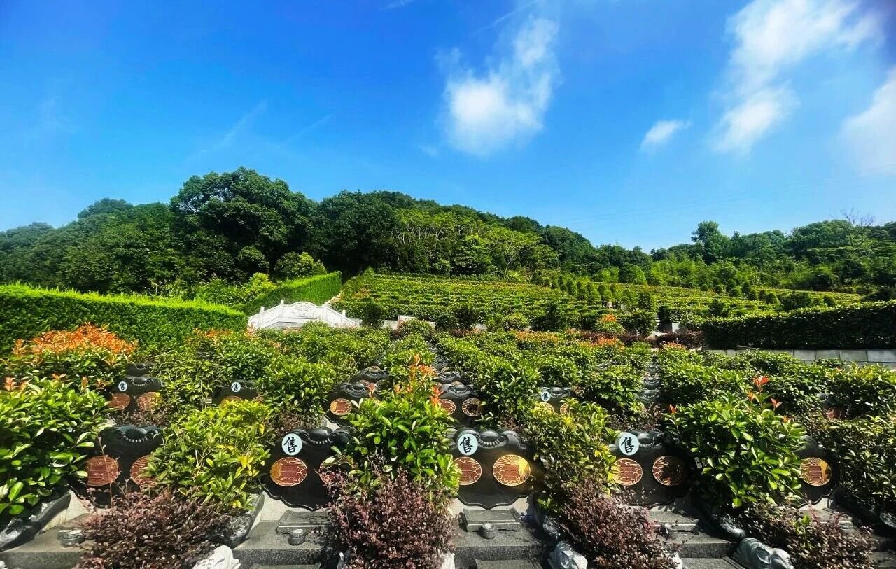 AG真人国际(中国)官方网站