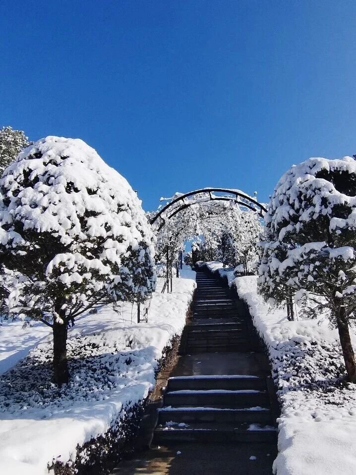 AG真人国际(中国)官方网站