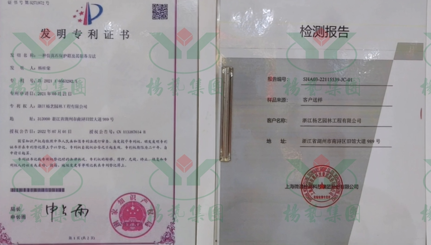 AG真人国际(中国)官方网站
