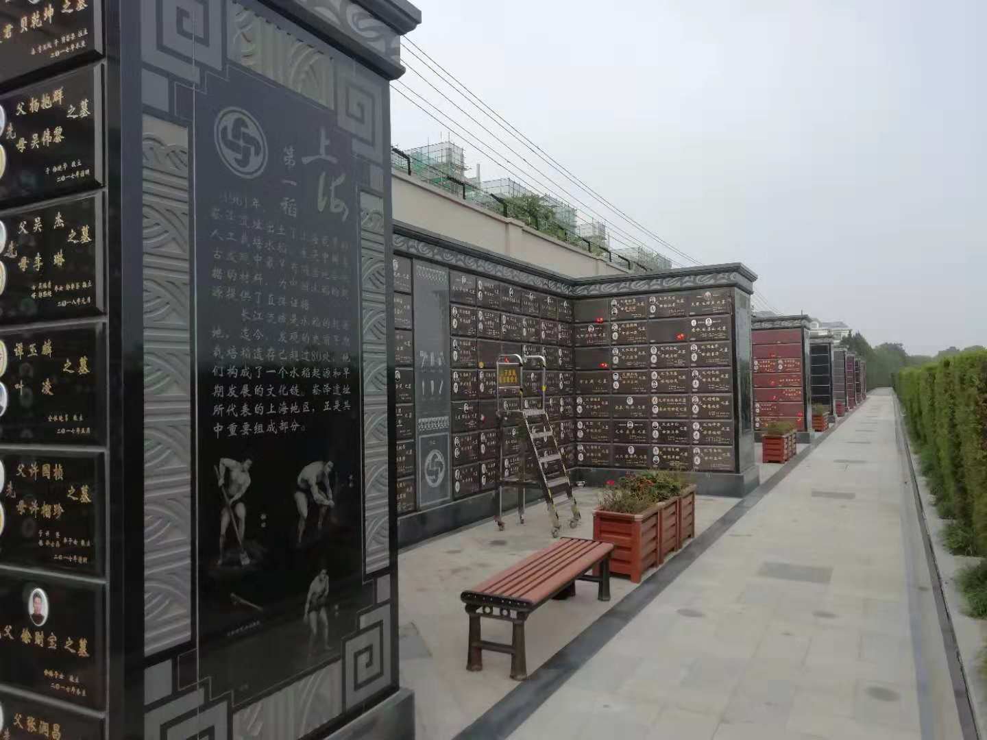AG真人国际(中国)官方网站